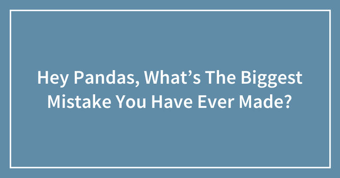 Hey Pandas, What’s The Biggest Mistake You Have Ever Made? (Closed)