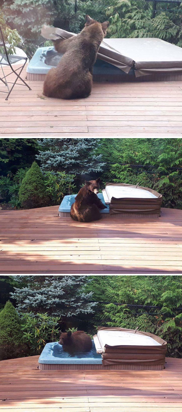 "Excuse Me Can I Have Some Privacy?"