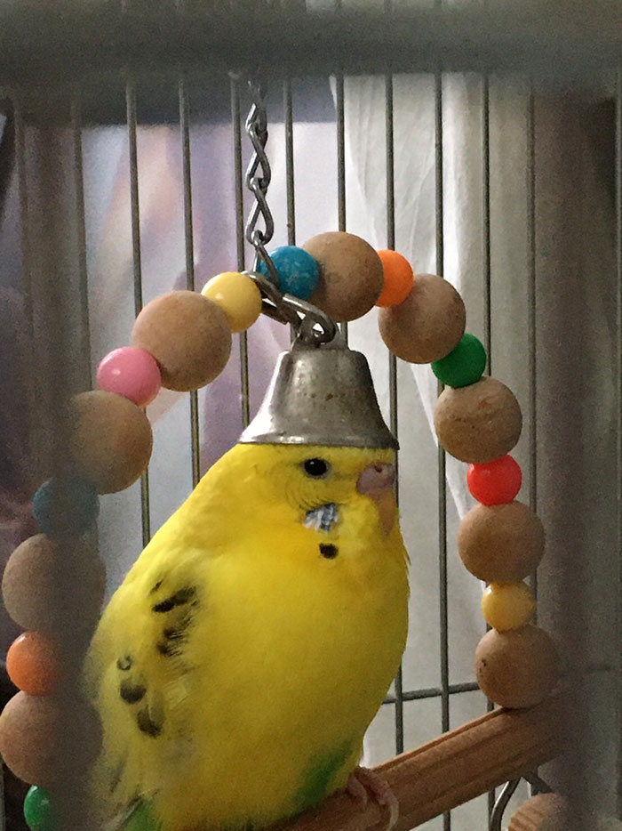 She's Wearing Her Crown