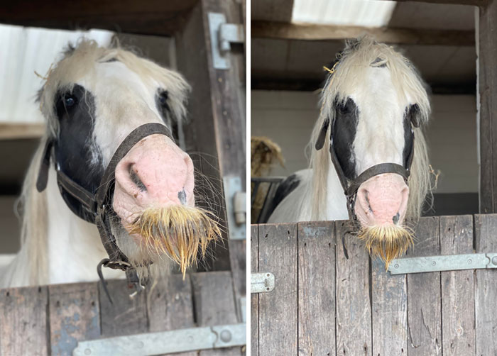 They Call Him “Mr. Mustachio”