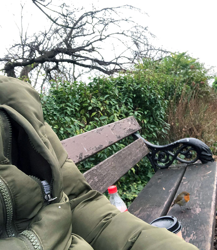 This Little Dude And I Have Had Breakfast/Lunch Together Everyday For The Last 4 Weeks, Always Bring Him Something To Eat And He Just Sits Next To Me For My Entire Break At Work