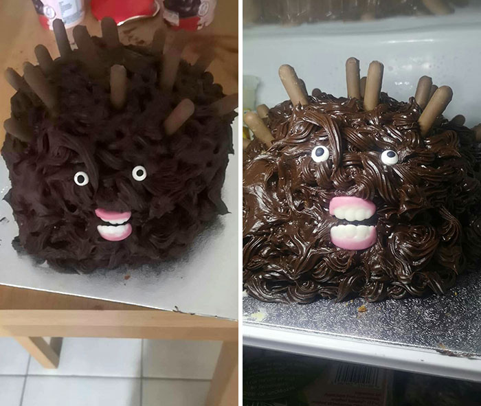Hedgehog Cake Apparently