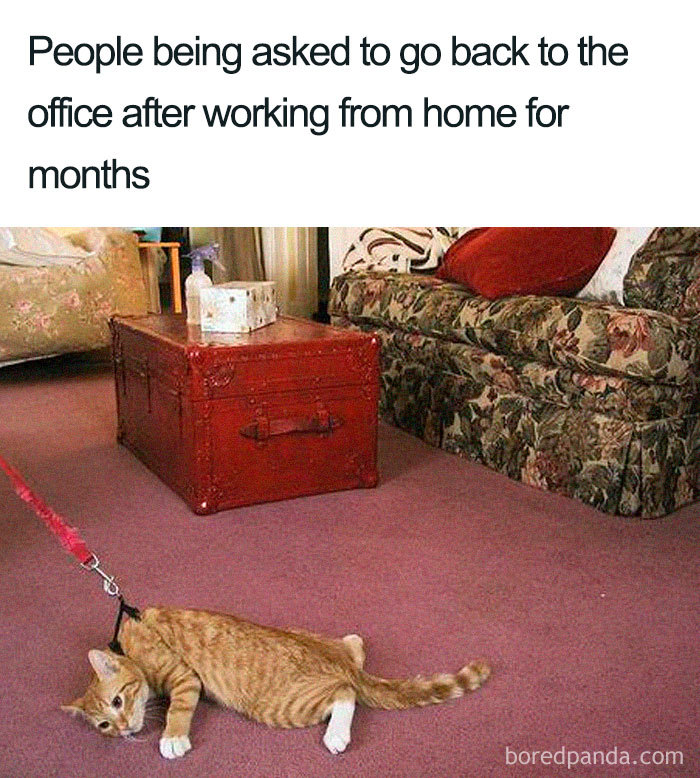 Funny-Coronavirus-Covid-19-Jokes