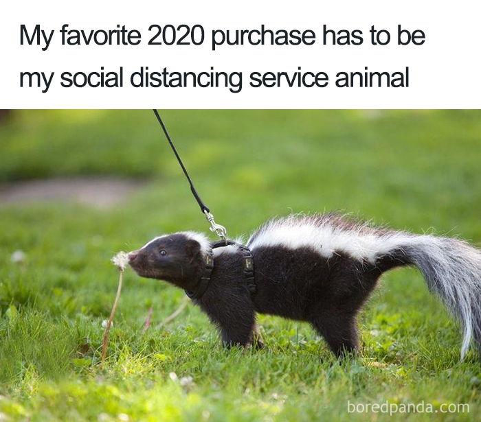 Funny-Coronavirus-Covid-19-Jokes