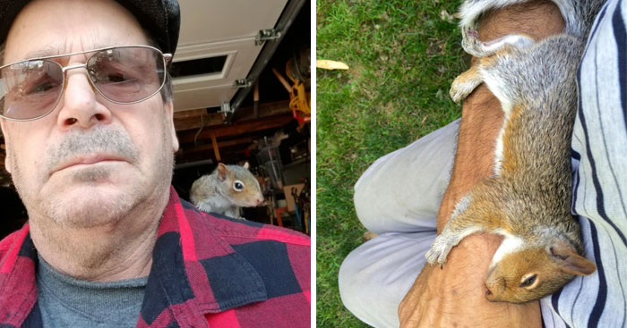 50 Posts To Remind Us How Awesome Squirrels Are