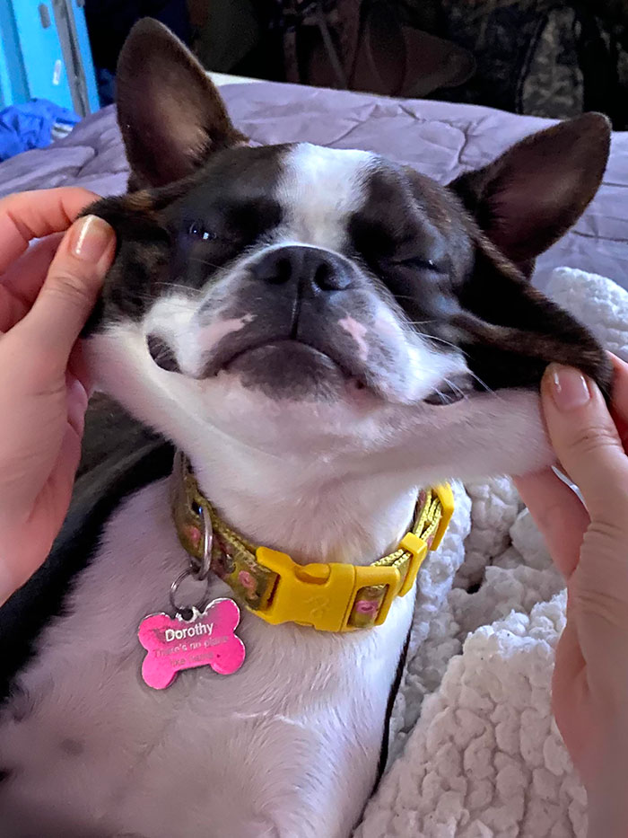 Stretchy Face Dorothy. I Love Her Cheeks