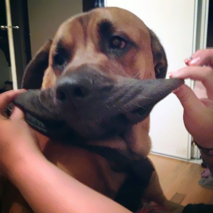 Mum Says I Have Nice Flaps