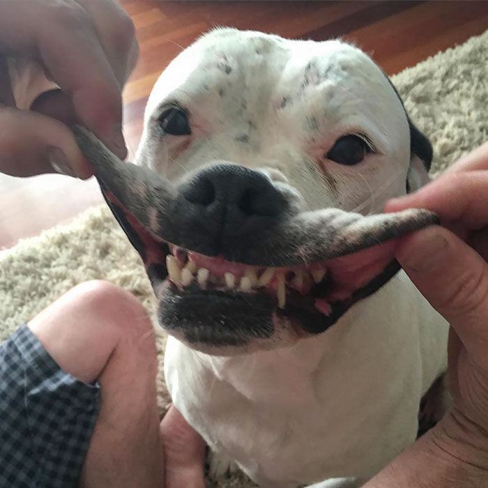 It Ain't Easy Being Cheesy