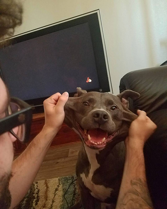 Mister Stretchy Faycee