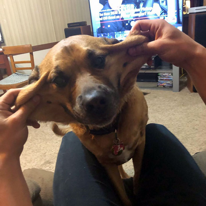 Let’s Talk About Leo’s Fat Loss Journey