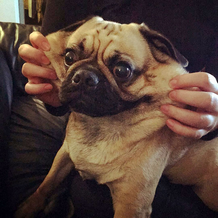 Some Days You Just Have To Force A Smile And Carry On - Archie