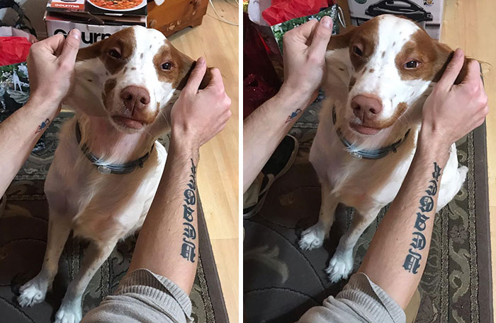 "Owner Thinks I Used To Be Fat Because My Skin Is So Loose"