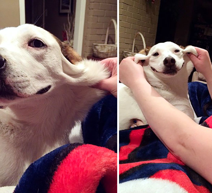 When He Was Sick, He Lost A Huge Amount Of Weight. He's Got Some Extra Skin He Needs To Grow Back Into