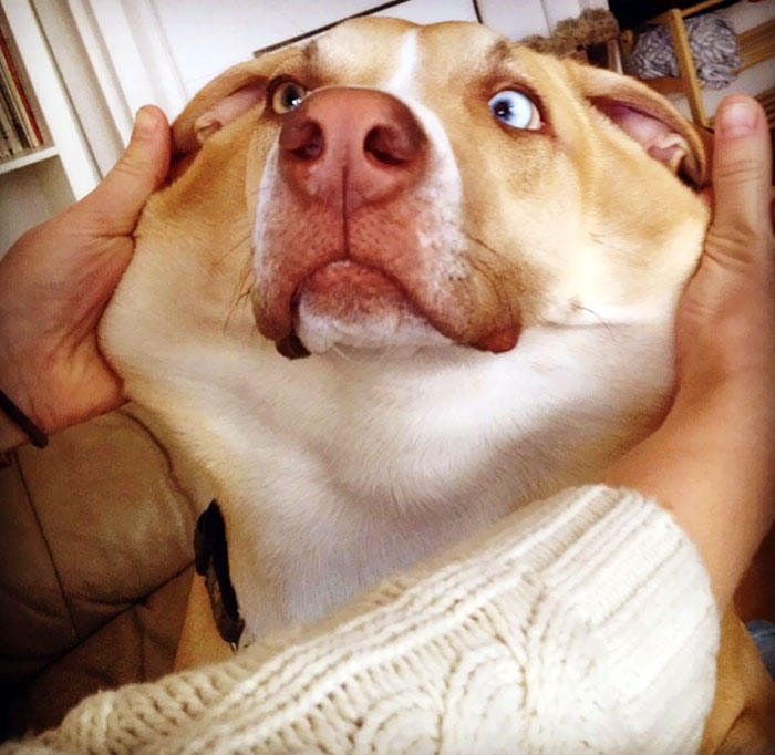 She's Still Growing Into Her Face