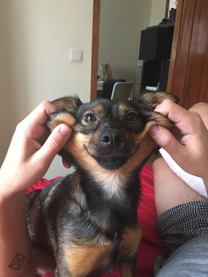 Stretchy And Squishy Kiri