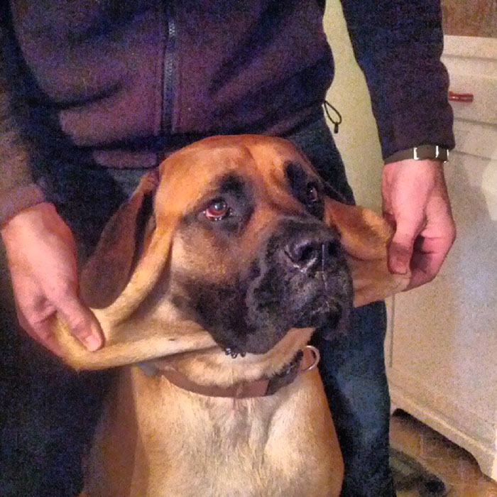 This Guy Needs A Face Lift