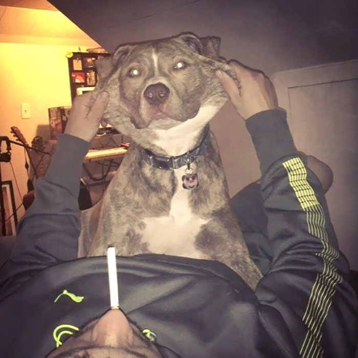 You're So Handsome, Opie