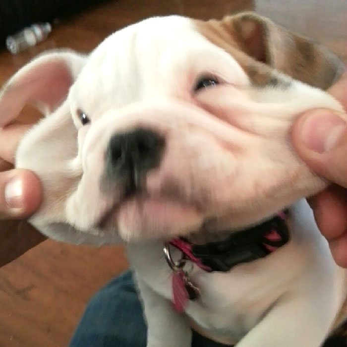 I Have Accepted, This Is Me