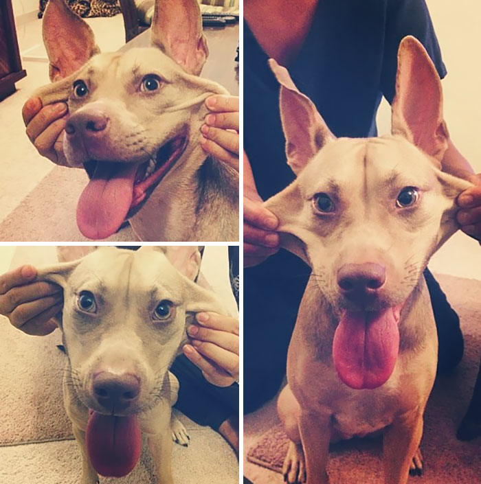 Trying Out Stingray Face And Kinda Failing