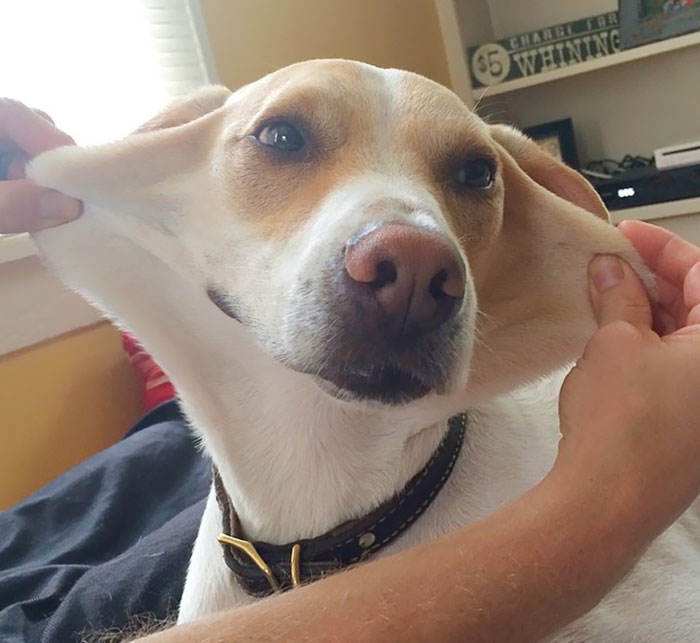 Guys, I Don't See What The Big Deal Is. Doesn't Everyone Have This Much Face Skin?