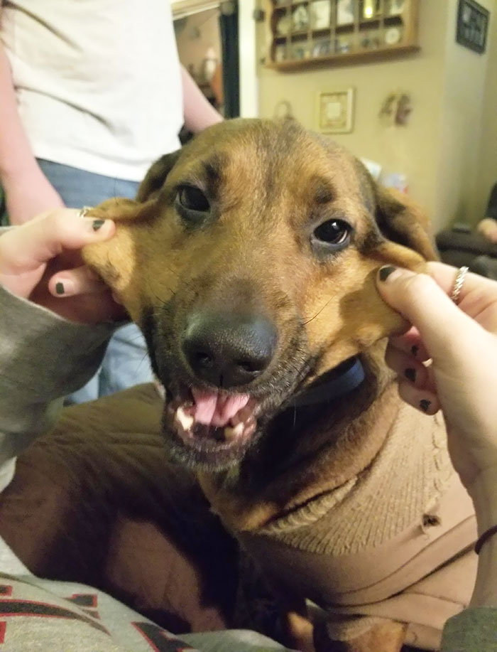 Woofer's Face Does A Big Stretch