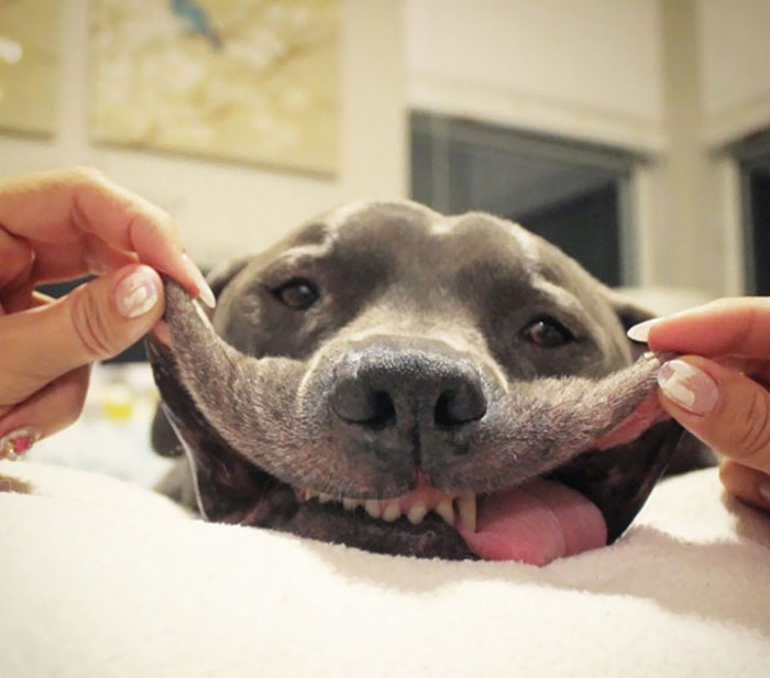 Who Puts An Instant Smile On Your Face?