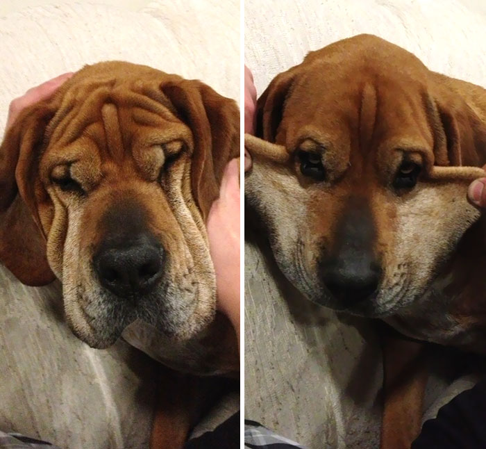 Squishy Face vs. Stretch Face