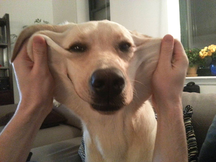 This Is Maisie, She Likes It When We Play With Her Extra Skin