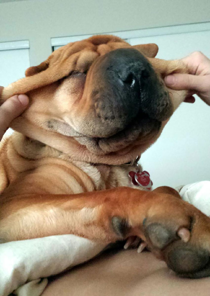 A Little Extra Skin Never Hurt Anybody