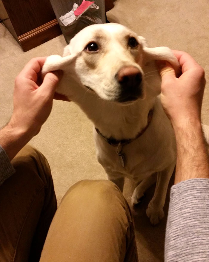 So, Jojo Has Some Extra Skin