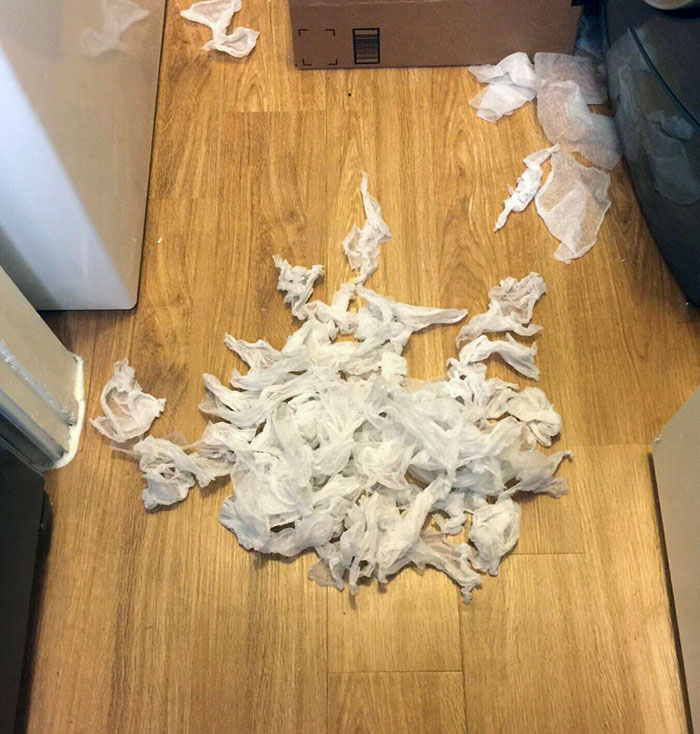 Accidentally Washed An Entire Box Of Bounce Strips