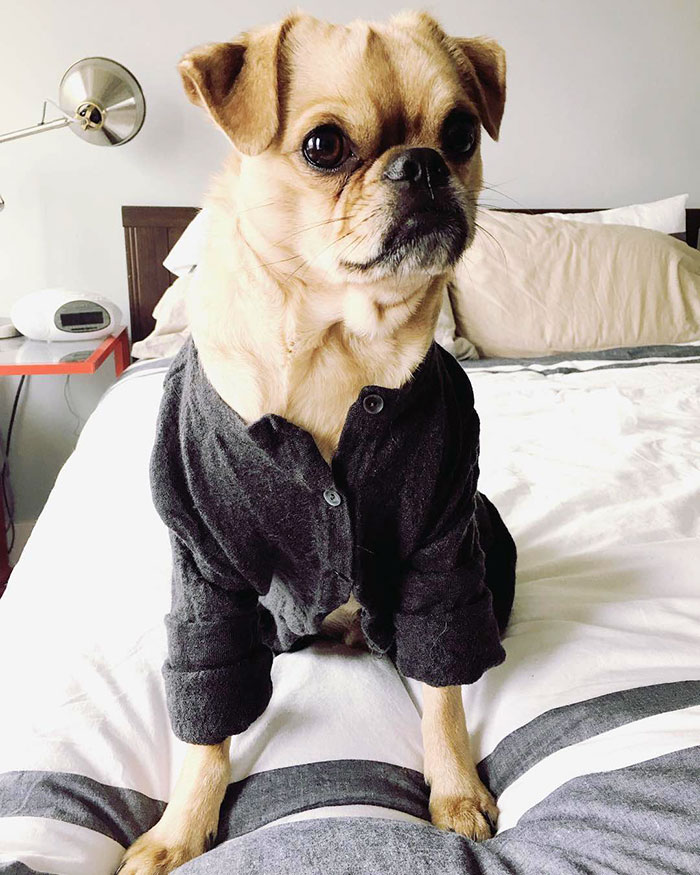 When You Remember That Wool Shrinks In The Dryer