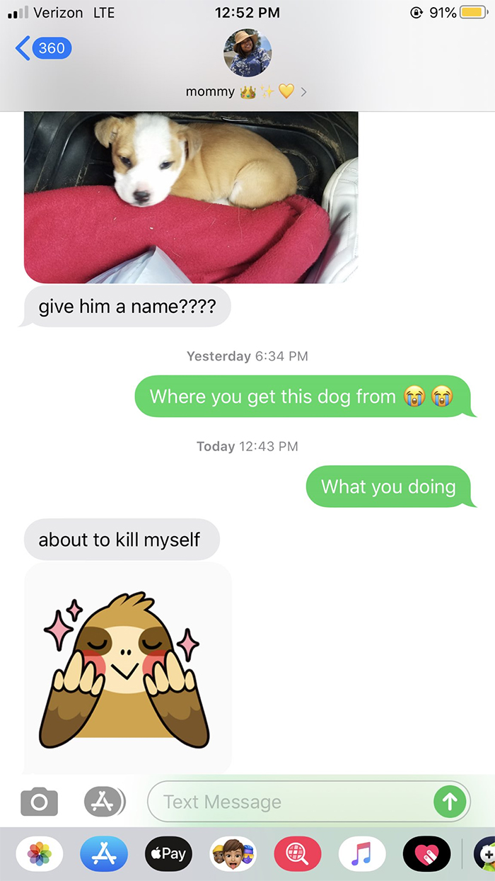 "She randomly brings dogs home"