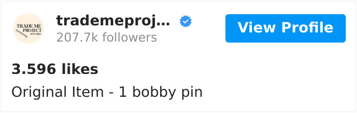 Woman Is On A Mission To Trade A Bobby Pin Until She Gets A House, And Here Are Her Trades So Far