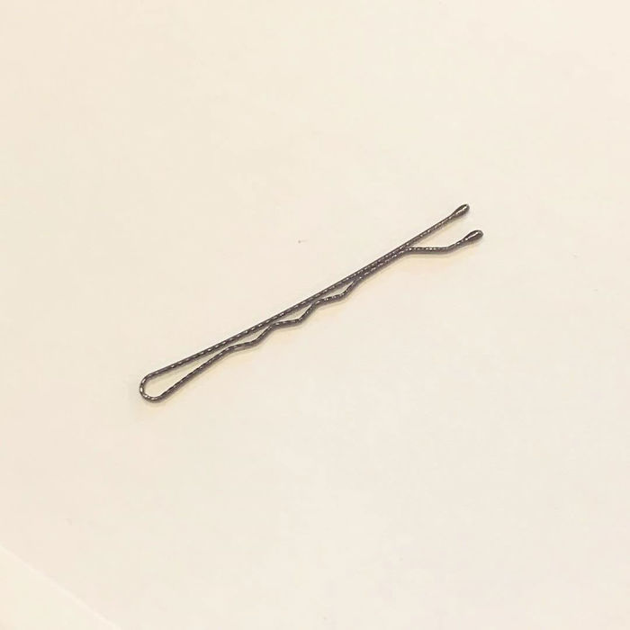 Woman Is On A Mission To Trade A Bobby Pin Until She Gets A House, And Here Are Her Trades So Far