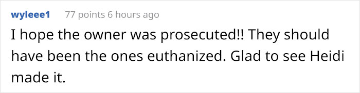 Volunteers 'Shocked' To See This 'Dead' Horse Still Alive Nurse It Back To Health And The Transformation Is Incredible Volunteers 'Shocked' To See This 'Dead' Horse Still Alive Nurse It Back To Health And The Transformation Is Incredible