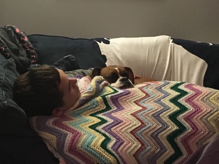 My Dog Lilly Laying On My Older Brother The Night We Rescued Her. She Knows Who Her Family Is