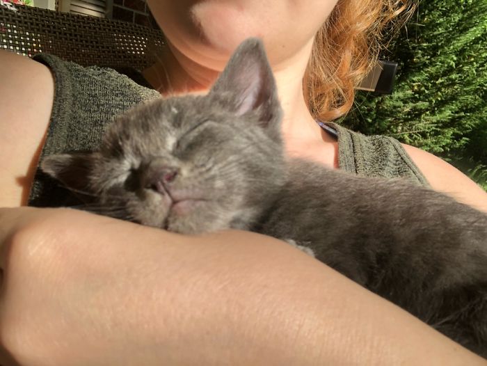 Underweight Stray, First Nap In My Arms!
