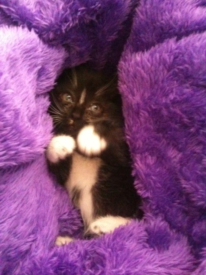 This Lovely Soul Fit Into The Palm Of My Hand When We Met