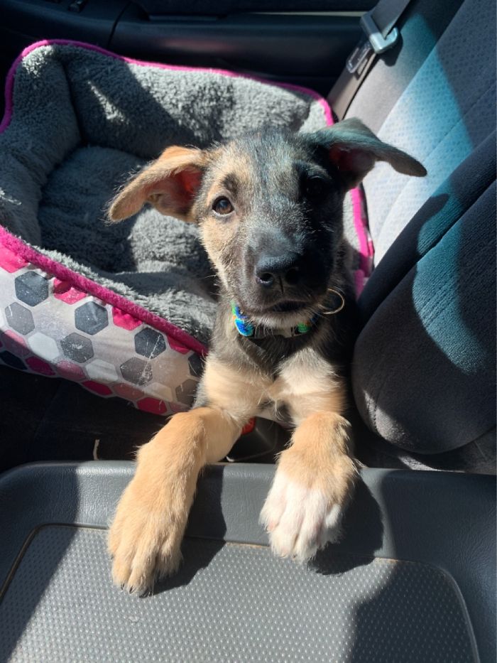 She Stared Into My Soul On The Way Home.