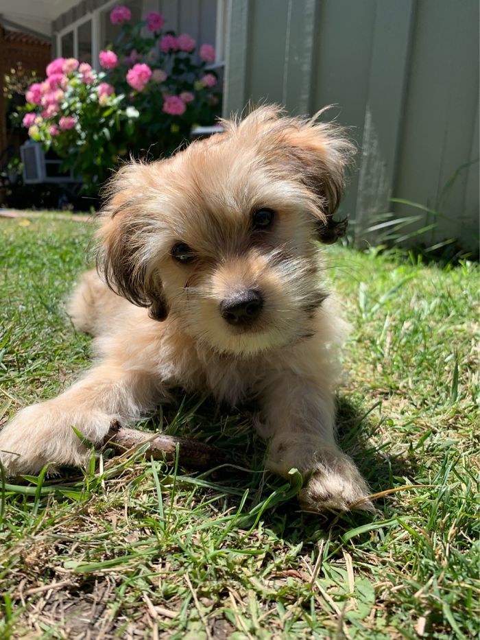 Caught My First Stick!