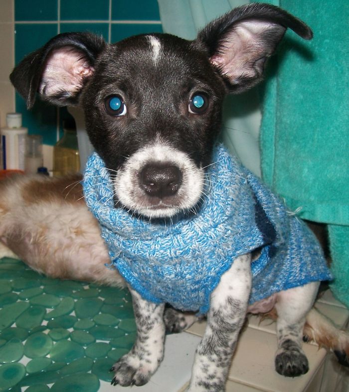 You Gonna Take Off My Sweater So I Can Get In The Tub With You?