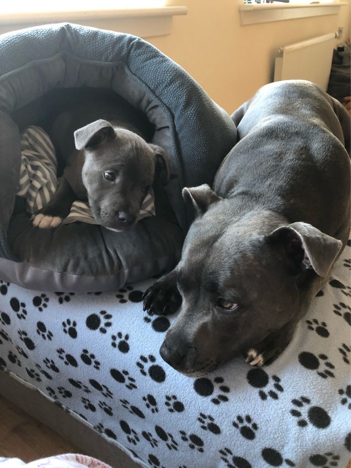 Can I Stay Here With You Forever? .....