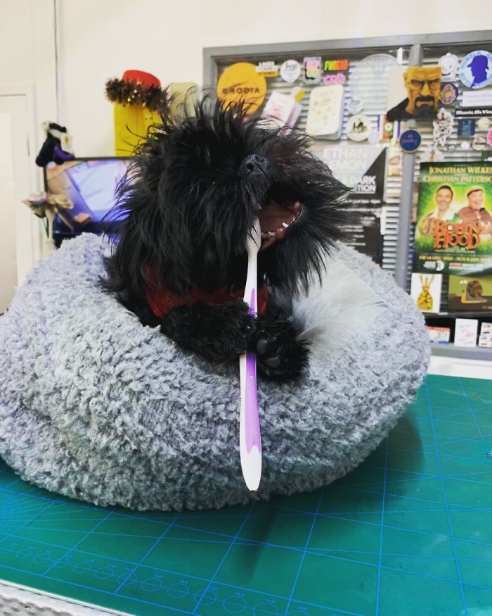 Gotta Keep Those Teefs Nice And Clean