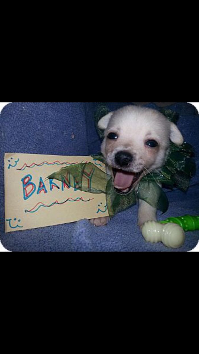 This Is His Adoption Photo. No Way He Wasn’t Going To Be Part Of Our Family.