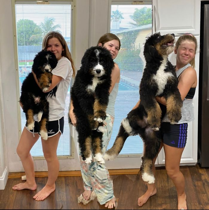 This Is Hercules Mulligan At 12, 16 And 20