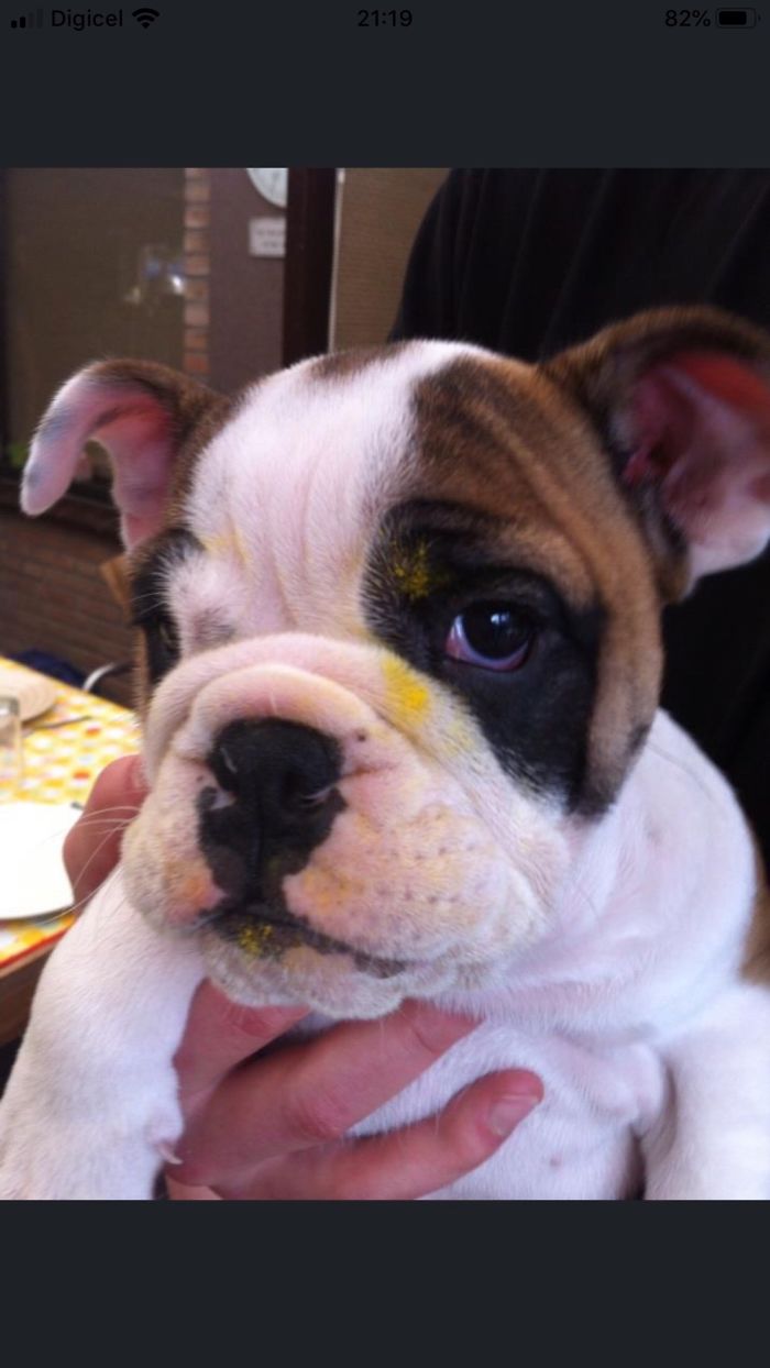 Our Little Dot❤️