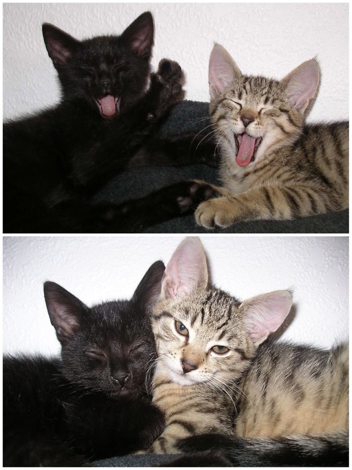 My Little Boys Guinness & Vb