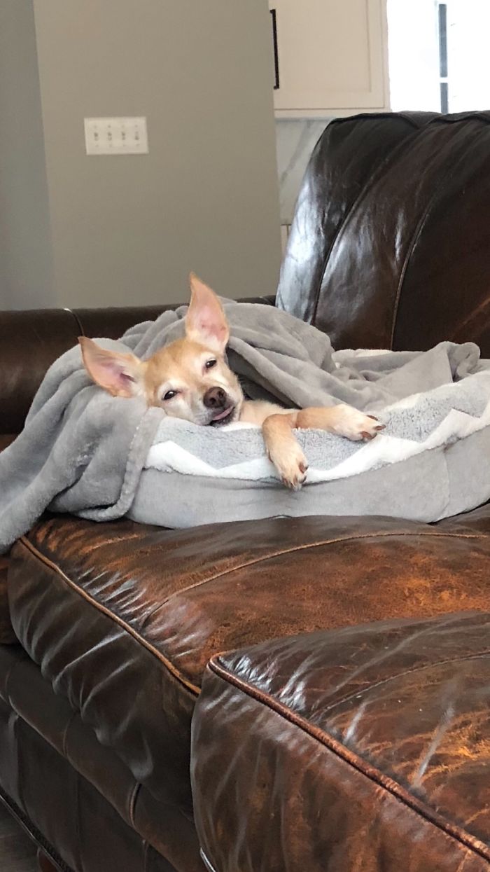 Molly.....without A Care In The World!