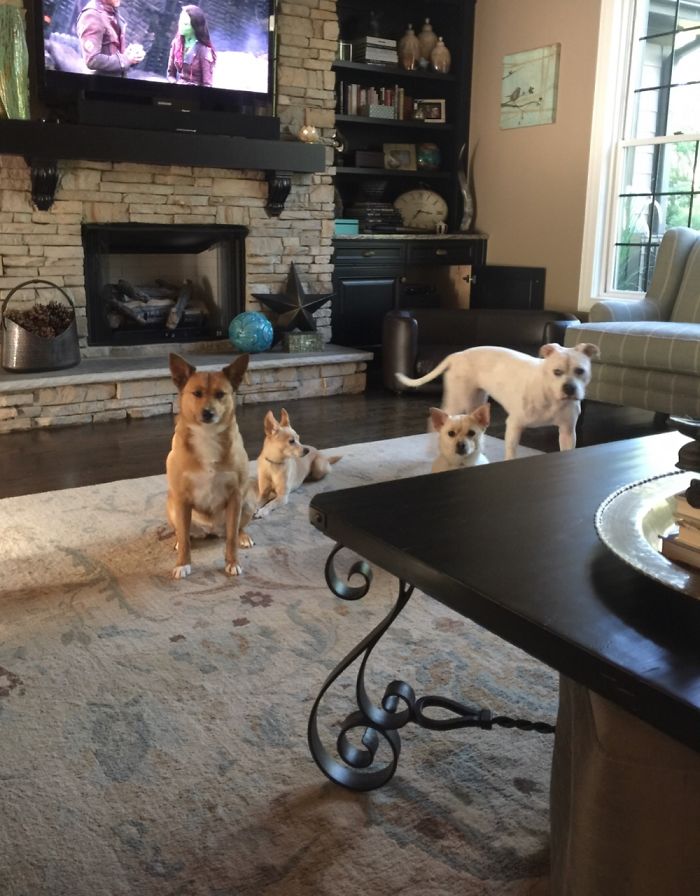 Molly Not A Fan Of Lola (The Pitt)!!!